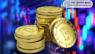 Inversor Veterano Desvela Estrategia de Bitcoin de 500 Días para Ganancias Óptimas: ¡Descúbrela Ahora! - Cripto Boom