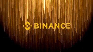 7 Nuevas Listas de Binance en 2024 – Descubre Monedas y Listados Futuros en Binance - Cripto Boom