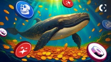 ¡Descubre la Fuerte Actividad de Ballenas en Estos 10 Altcoins! ¿Cuál Será el Próximo Movimiento? - Cripto Boom