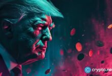WLFI de Trump autoriza a 100k inversores: Únete ahora junto al Co-fundador de Paxos, Rich Teo - Cripto Boom