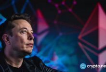 ¡Criptoimitadores de SpaceX se disparan un 5824% tras el lanzamiento de prueba de Starship! Descubre más aquí. - Cripto Boom