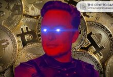 ¡El Bitcoin se ha disparado más del 1.000% desde el primer tweet de Elon Musk sobre BTC! Descubre cómo esto impacta en el mercado. - Cripto Boom