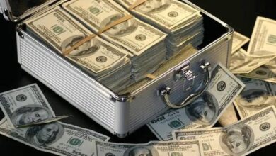 ¿Qué Puedes Hacer con $96? Un Inversor Inteligente Multiplicó su Inversión en Altcoin de $96 a $3 Millones. ¡Descúbrelo Ahora! - Cripto Boom