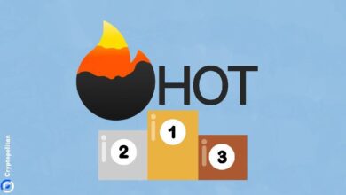 ¡Descubre cómo Hot Protocol se convierte en la aplicación multi-cadena líder, superando a Particle Network y Uniswap! - Cripto Boom