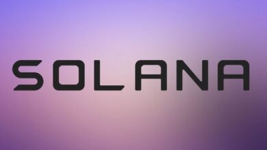 Monedas Meme de Solana en Auge: ¿Está Este Desarrollador Aprovechándose de los Inversores? ¡Descúbrelo Aquí! - Cripto Boom