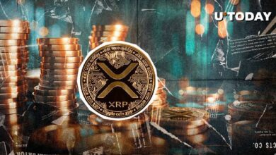 ¡XRP se Dispara un 60% en Volumen en Medio del Caos del Mercado de $266 Millones! - Cripto Boom