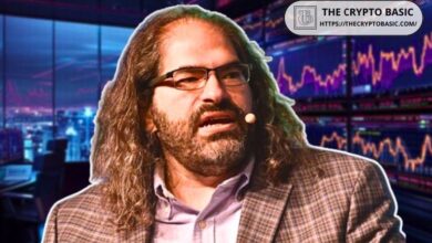 CTO de Ripple elogia declaración pro-cripto de Kamala Harris: ¡Conoce por qué es una buena noticia! - Cripto Boom