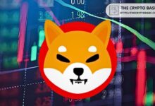 Shiba Inu Anuncia Nuevo Airdrop para Titulares de SHIB: ¡Descúbrelo Ahora! - Cripto Boom