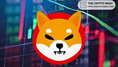 Shiba Inu Anuncia Nuevo Airdrop para Titulares de SHIB: ¡Descúbrelo Ahora! - Cripto Boom
