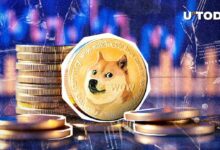 ¡Dogecoin (DOGE) se Dispara un 1,645% por Actividad Alcista de Ballenas! - Cripto Boom