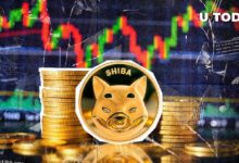 ¿$206 Millones en Shiba Inu en 24 Horas? ¡Descubre si el Rally de SHIB está Confirmado! - Cripto Boom