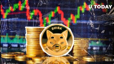 ¿$206 Millones en Shiba Inu en 24 Horas? ¡Descubre si el Rally de SHIB está Confirmado! - Cripto Boom