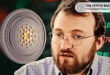 El Fundador de Cardano Responde mientras Cardano se Prepara para Recibir su Primer L2 Verdaderamente Sin Permisos: Descubre los Detalles Ahora - Cripto Boom