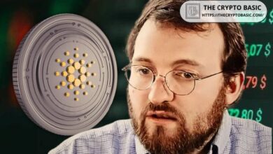 El Fundador de Cardano Responde mientras Cardano se Prepara para Recibir su Primer L2 Verdaderamente Sin Permisos: Descubre los Detalles Ahora - Cripto Boom