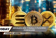 XRP Muestra el Rendimiento Más Débil en el Top 10, a Menos que Esto Suceda: ¡Descubre el Mayor Rompimiento de Bitcoin (BTC) en 2024! Solana (SOL) Explota por Encima de $165: ¿Es $200 el Próximo Paso? - Cripto Boom