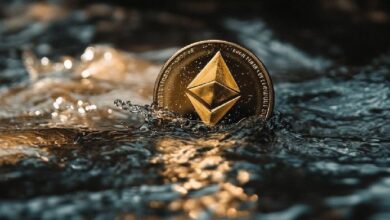 Los ETF de Ethereum enfrentan un inicio complicado, pero mantienen un fuerte potencial de crecimiento, afirma el CEO de Bitwise. ¡Descubre más! - Cripto Boom