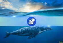 Aumento del 2100% en Transacciones de Ballenas ApeCoin, ¿Qué Pasará con el Precio de APE? - Cripto Boom