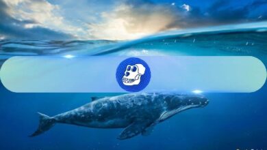 Aumento del 2100% en Transacciones de Ballenas ApeCoin, ¿Qué Pasará con el Precio de APE? - Cripto Boom