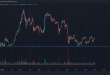 Ether Sube un 2.5%: ¡Descubre las Oportunidades de Alza ante la Peligrosa Inclinación Negativa en Cortos! - Cripto Boom