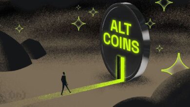 HashKey Capital Apuesta por las Altcoins en Pleno Auge de Bitcoin: Descubre Más - Cripto Boom