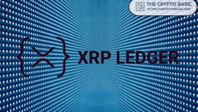 La Comunidad XRP Explora el Staking Nativo en XRPL: ¡Descubre las Contribuciones de Flare y Ripple! - Cripto Boom