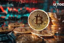 "Ciclo Anual de Bitcoin (BTC) al Borde de Romperse: ¡Descubre los Detalles!" - Cripto Boom