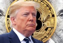 Partidarios de Donald Trump Supuestamente Interfirieron con Plataforma de Predicciones de Criptomonedas: ¡Descubre los Detalles! - Cripto Boom