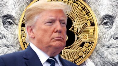 Partidarios de Donald Trump Supuestamente Interfirieron con Plataforma de Predicciones de Criptomonedas: ¡Descubre los Detalles! - Cripto Boom