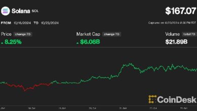 Solana Marca Récord frente a Ether y Supera a Bitcoin: Impulso por el Frenesí de AI Memecoins y Aumento de Ingresos ¡Descúbrelo Ahora! - Cripto Boom