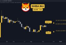 Predicción del Precio de Shiba Inu (SHIB) para Esta Semana: ¿Hora de Invertir? - Cripto Boom