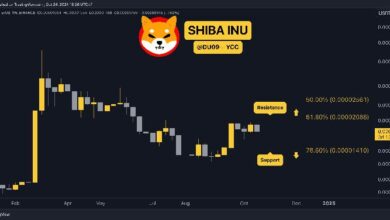 Predicción del Precio de Shiba Inu (SHIB) para Esta Semana: ¿Hora de Invertir? - Cripto Boom