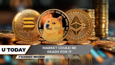 Solana (SOL) Lista para Alcanzar $200, ¿Impulso del Precio de Dogecoin (DOGE) Provocará un Aumento del 30%? ¿Nuevo Ciclo Alcista de Ethereum (ETH) en Marcha? ¡Descúbrelo Ahora! - Cripto Boom