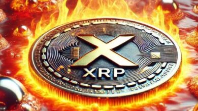 Con el Ascenso de Bitcoin, ¿Puede el Precio de XRP Aprovechar la Oportunidad? - Cripto Boom