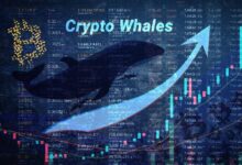 Ballenas compran Notcoin (NOT) mientras el mercado de altcoins apunta a un crecimiento del 400% ¡Descubre por qué! - Cripto Boom