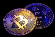 ¡Descubre la Implementación Mensual de Halving Anunciada por Zilliqa! - Cripto Boom