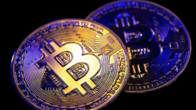 ¡Descubre la Implementación Mensual de Halving Anunciada por Zilliqa! - Cripto Boom
