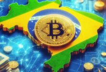CEO de Ripple Elogia el Estado de la Regulación de Criptomonedas en Brasil: ¡Descubre Más! - Cripto Boom