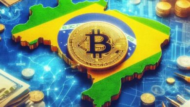 CEO de Ripple Elogia el Estado de la Regulación de Criptomonedas en Brasil: ¡Descubre Más! - Cripto Boom