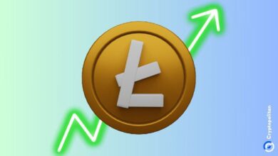 Litecoin avanza hacia el top 10 con un aumento de volumen de $36 mil millones: Descubre más - Cripto Boom