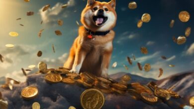 FLOKI Rompe Tendencia Bajista: Analista Predice Rally del 200% a Nuevo Máximo Histórico - ¡Descubre los Detalles! - Cripto Boom