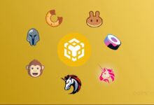 7 Mejores Plataformas DEX de BNB Smart Chain (BSC) 2024: ¡Descubre las Opciones Principales! - Cripto Boom