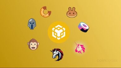 7 Mejores Plataformas DEX de BNB Smart Chain (BSC) 2024: ¡Descubre las Opciones Principales! - Cripto Boom