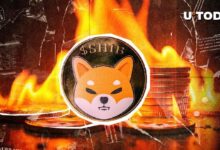 ¡Las Quemaduras de SHIB Se Disparan un 65,529%! Descubre Cuánto SHIB Se Ha Eliminado - Cripto Boom