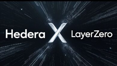 Hedera Integra LayerZero con el Lanzamiento de Mainnet v0.54: Descubre las Novedades - Cripto Boom