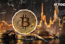 Bitcoin Ante un Posible Cruce Dorado: ¿Cuáles son los Escenarios Probables? ¡Descúbrelo! - Cripto Boom