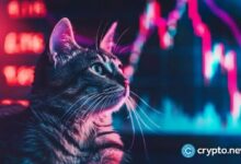 Bonk y Popcat: Descubre cómo sus precios se diferencian con el aumento de los flujos de salida en CEX - Cripto Boom