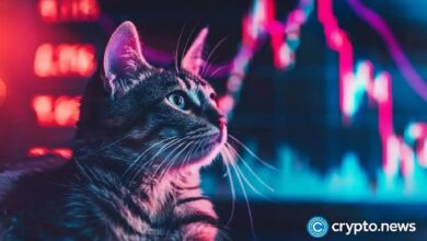 Bonk y Popcat: Descubre cómo sus precios se diferencian con el aumento de los flujos de salida en CEX - Cripto Boom