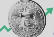 El 49,6% de los millonarios cripto deben su fortuna a Bitcoin: Descubre cómo lo lograron - Cripto Boom