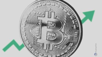 El 49,6% de los millonarios cripto deben su fortuna a Bitcoin: Descubre cómo lo lograron - Cripto Boom