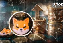 ¡La Tasa de Quema de Shiba Inu (SHIB) se Dispara un 7,911%! Descubre el Potencial de su Precio al Alza - Cripto Boom